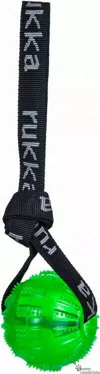 Geelipallo nauhalla - Koiran palkkauslelut - 40265 - 1