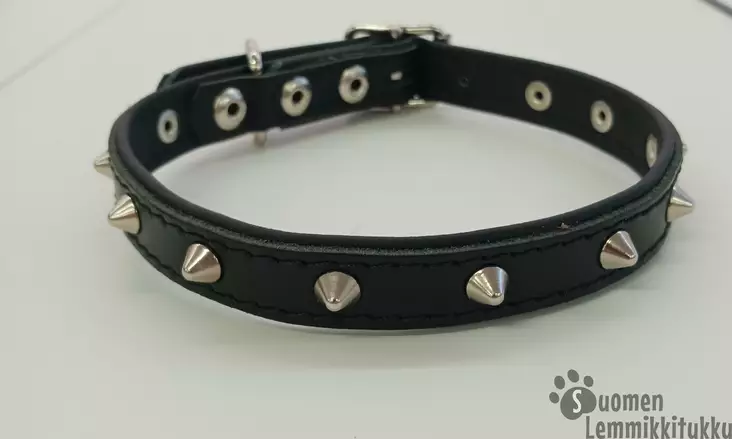 Nahkanasta nahkainen niittipanta - Koiran nahkapannat - 41145 - 1