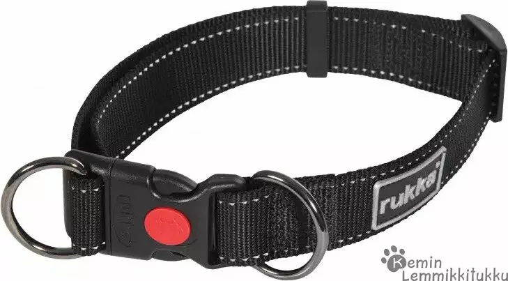 Pets Bliss panta Musta - Koiran pistolukkopannat - 39335 - 1