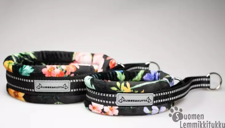 Puolikiristävä panta Niittykukat - Koiran puolikiristävät pannat - 42305 - 1