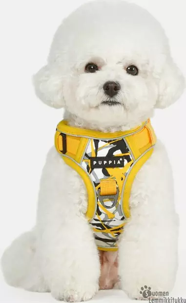 Abstract H-mallin valjas, keltainen - Koiran valjaat - 42206 - 2