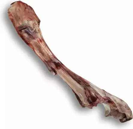 Penin Paras Poron luut 1kg - Kaulat, rustot ja luut - 43176 - 2
