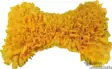 Nobby Aktivointimatto Bone, keltainen - Koiran aktivointilelut, pelit ja kupit - 40436 - 1