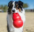 Kong Bounzer L - Koiran kumi- ja vinyylilelut - 42716 - 2