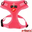 Puppia Ritefit A-valjas - Koiran valjaat - 40916 - 7