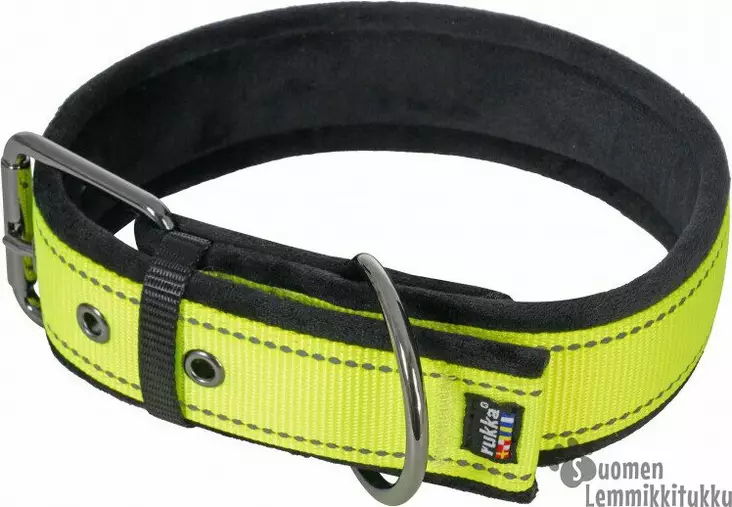 Form soft panta, Keltainen Neon - Koiran solkipannat - 41076 - 1