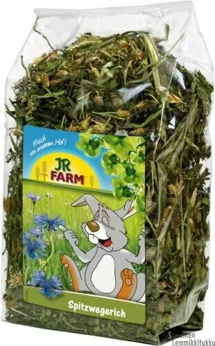 Jr-Farm Heinäratamo & Ruiskukka 100 g - Kanin ja jyrsijän herkut - 41886 - 1