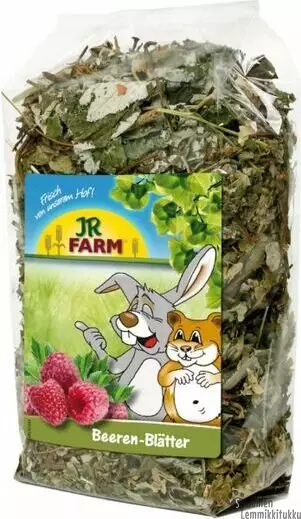Jr-Farm Marjojen lehdet 100 g - Kanin ja jyrsijän herkut - 42476 - 1