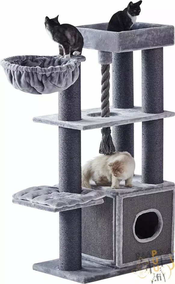 Raapima- ja kiipeilypuu Yanko - Kissan raapimapuut - 37196 - 1