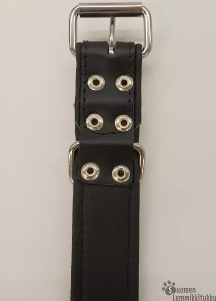 Nahkapanta koiralle strasseilla, yksirivinen 4cm - Koiran nahkapannat - 40637 - 2