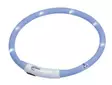 Nobby Starlight Valopanta Puppy - Koiran huomiotuotteet ja pelastusliivit - 43157 - 2