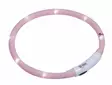 Nobby Starlight Valopanta Puppy - Koiran huomiotuotteet ja pelastusliivit - 43157 - 1