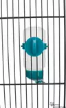 Trixie Ruuvattava juomapullo 125ml - Kanin/jyrsijän ruokakupit, juomapullot - 40517 - 5