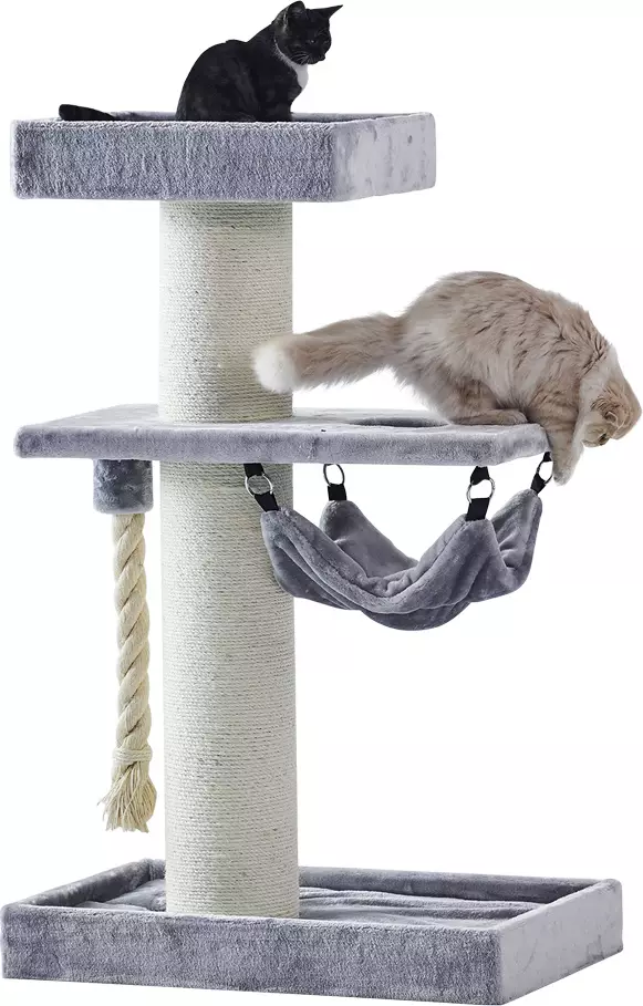 Nobby Samar raapimapuu - Kissan raapimapuut - 37197 - 1