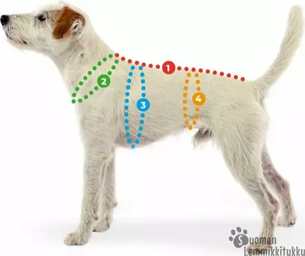 JumppaPomppa Petrooli - Koiran kevyttakit ja villapaidat - 40028 - 2