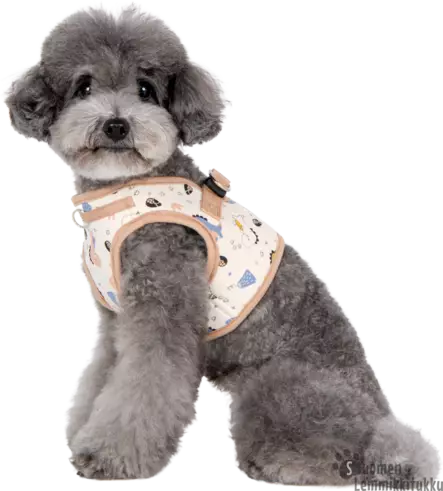 Soft Vest takkivaljaat B Minmi, Beige - Koiran valjaat - 42198 - 2