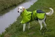 Axaeco 4 Season Dog Coat takki - Koiran vettä pitävät takit - 39308 - 4