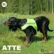 Brava Atte huomioliivi, neonkeltainen - Koiran huomiotuotteet ja pelastusliivit - 39538 - 5