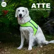 Brava Atte huomioliivi, neonkeltainen - Koiran huomiotuotteet ja pelastusliivit - 39538 - 4