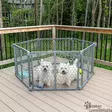 Carlson 2-in-1 muoviportti ja pentuaitaus, 6 paneelia - Koiraportit ja aitaukset sisälle - 37428 - 3