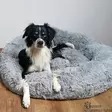 Donitsipeti Esla, harmaa isot koot - Koiran pedit - 41548 - 2