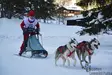 Neeewa Sled Pro vetovaljaat, sininen - Koiran vetovaljaat - 41658 - 5