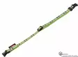 Nobby Tartan kaulapanta - Koiran pistolukkopannat - 39518 - 2