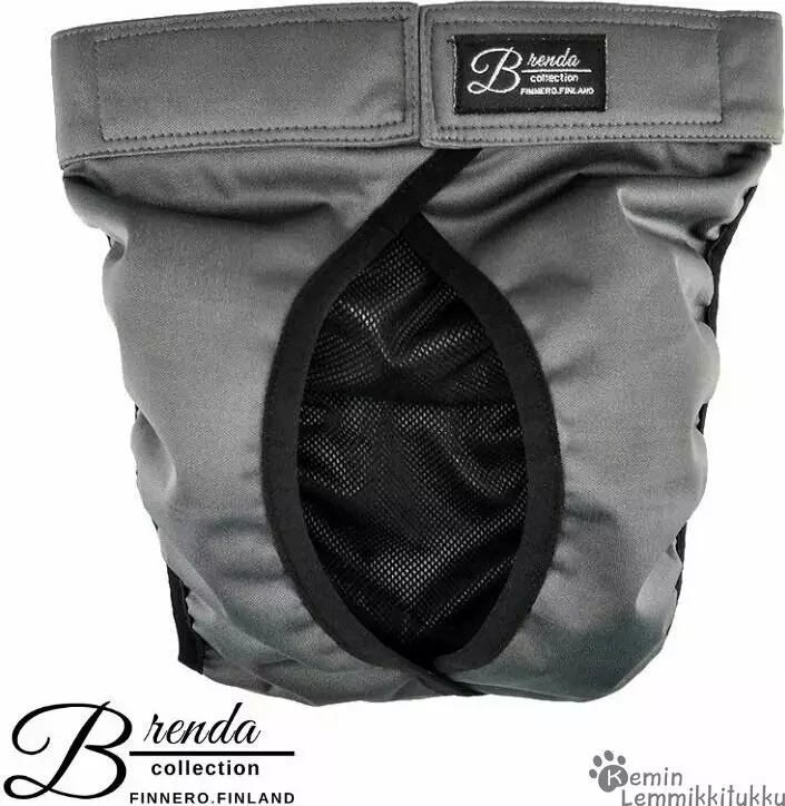 Finnero Brenda juoksuhousut tummanharmaa - Koiran juoksuhousut ja urossuojat - 38508 - 1