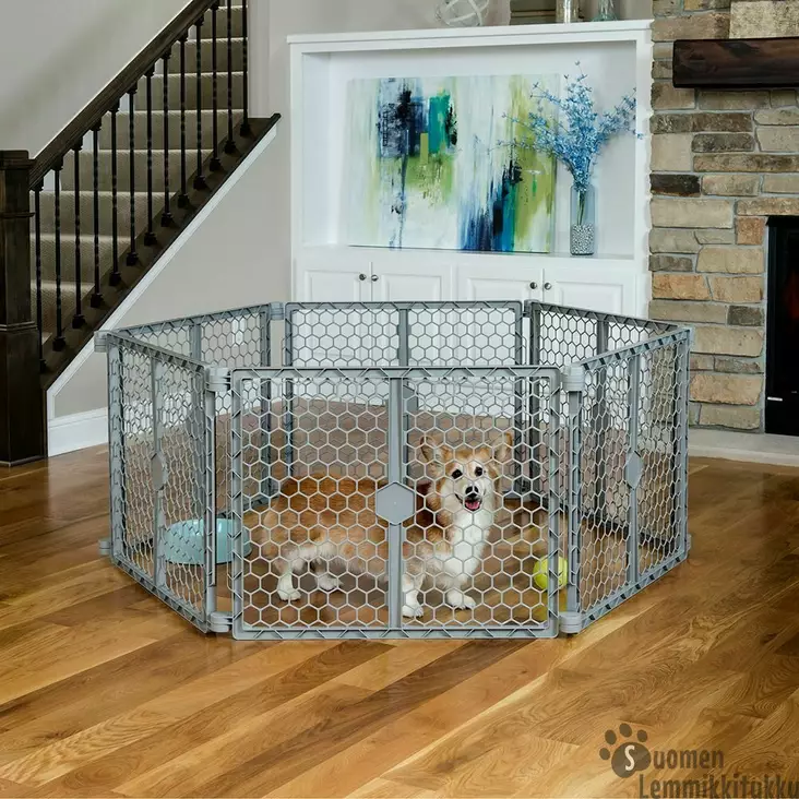 Carlson 2-in-1 muoviportti ja pentuaitaus, 6 paneelia - Koiraportit ja aitaukset sisälle - 37428 - 1