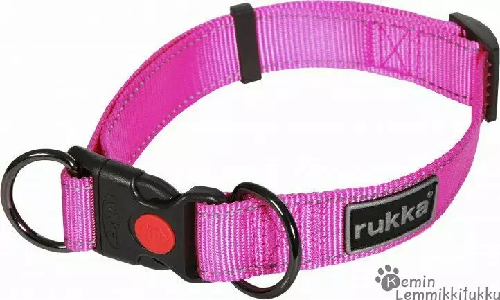Pets Bliss panta Pinkki - Koiran pistolukkopannat - 39508 - 1