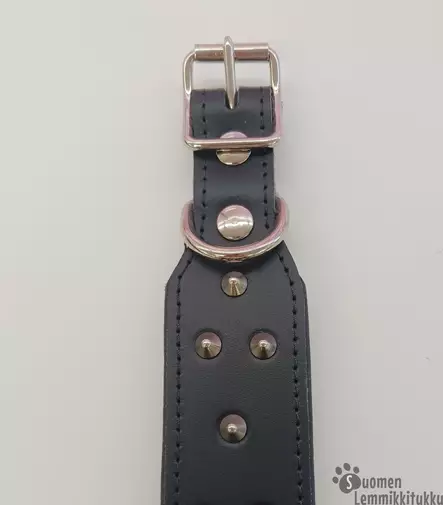 Leveä nahkainen niittipanta - Koiran nahkapannat - 39929 - 2