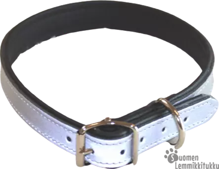 Nahkainen solkipanta heijastinpinnalla - Koiran nahkapannat - 41139 - 2