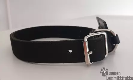 Nahkapanta, koko XS - Koiran nahkahihnat - 39939 - 1