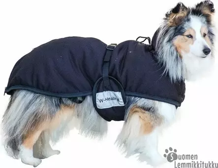 Wahlsten W-Healing koiran loimi - Koiran kevyttakit ja villapaidat - 42139 - 1