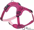 Mailo-valjaat, fuksia - Koiran valjaat - 37959 - 1