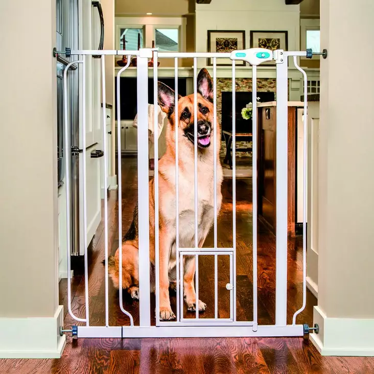 Carlson Korkea lemmikkiportti - Koiraportit ja aitaukset sisälle - 38699 - 1