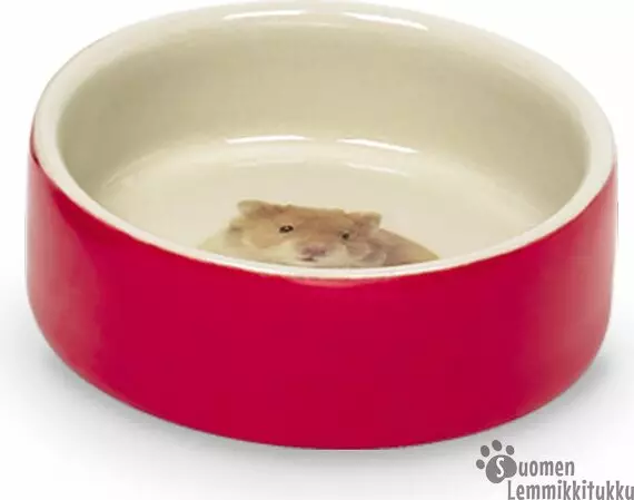 Jyrsijän ruokakuppi sininen - Kanin/jyrsijän ruokakupit, juomapullot - 37549 - 1