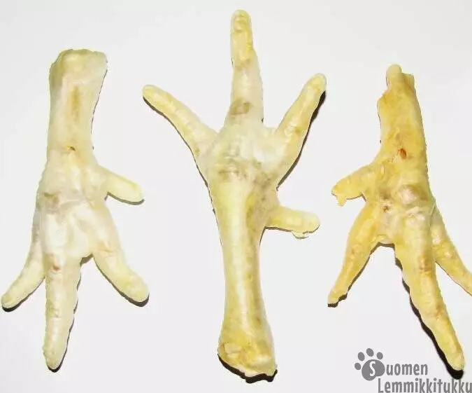 Kanan jalka kuivattu vaalea - Kuivatut ruhon osat koiralle - 41489 - 1