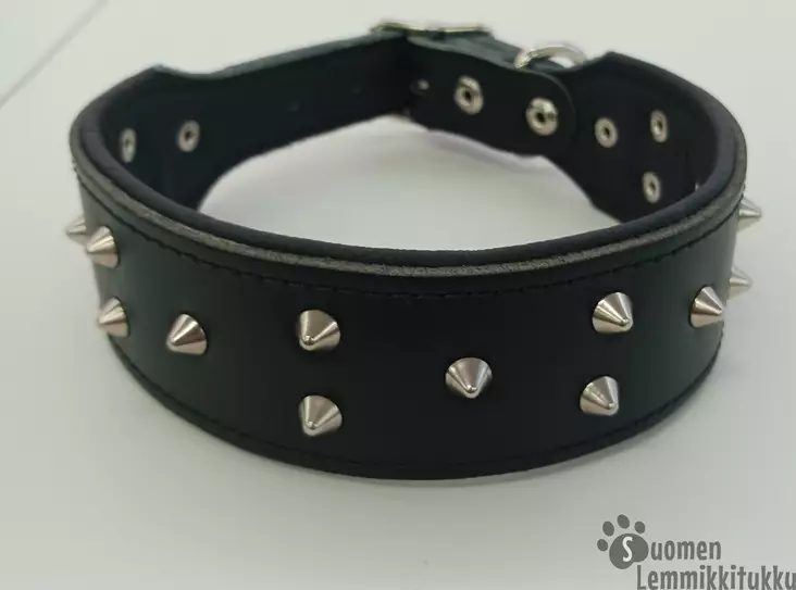 Leveä nahkainen niittipanta - Koiran nahkapannat - 39929 - 1