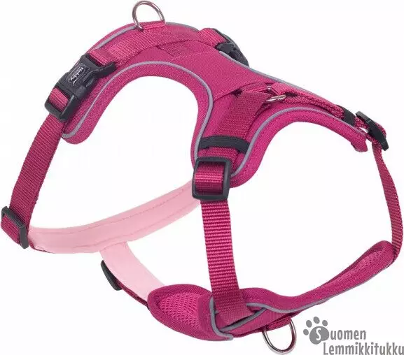 Mailo-valjaat, fuksia - Koiran valjaat - 37959 - 1