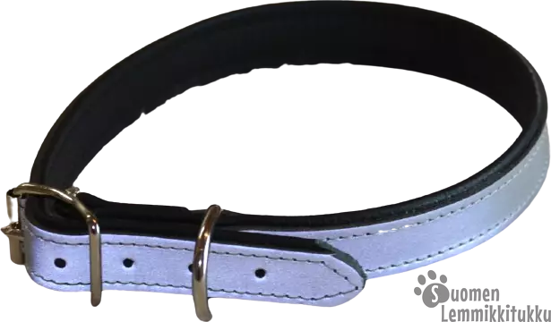 Nahkainen solkipanta heijastinpinnalla - Koiran nahkapannat - 41139 - 1