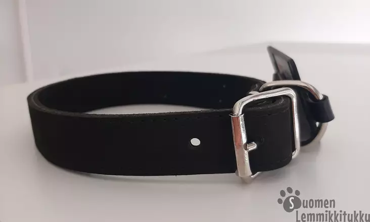 Nahkapanta, koko XS - Koiran nahkahihnat - 39939 - 1
