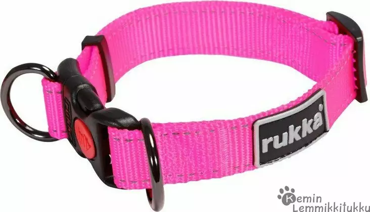 Pets Bliss panta Pinkki Neon - Koiran pistolukkopannat - 39509 - 1