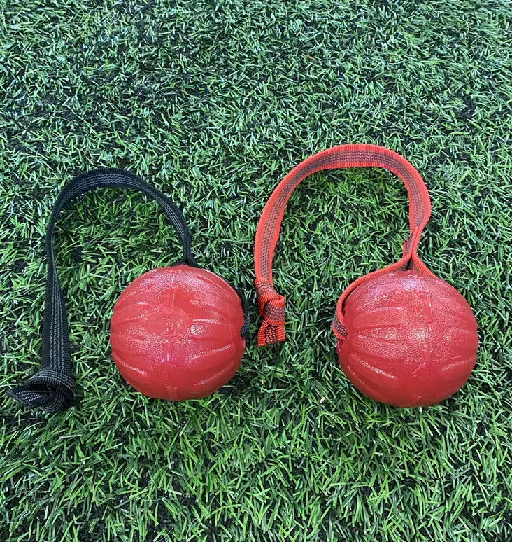 Vijue Pekonipallo Gripillä - Koiran palkkauslelut - 48719 - 1